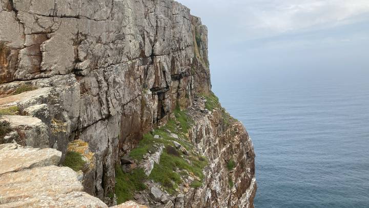 Vertical cliff face plunging into the ocean with patches of green vegetation on rocky ledges.