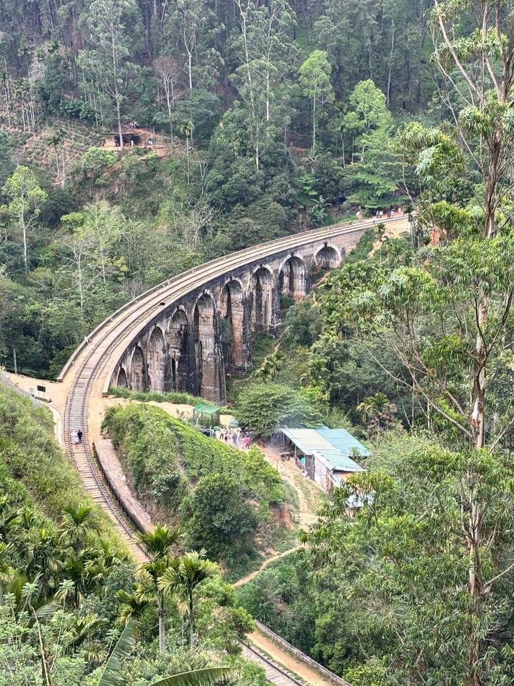 Scenic curve of the Nine Arches stone railway bridge cutting through lush green forest near Ella.