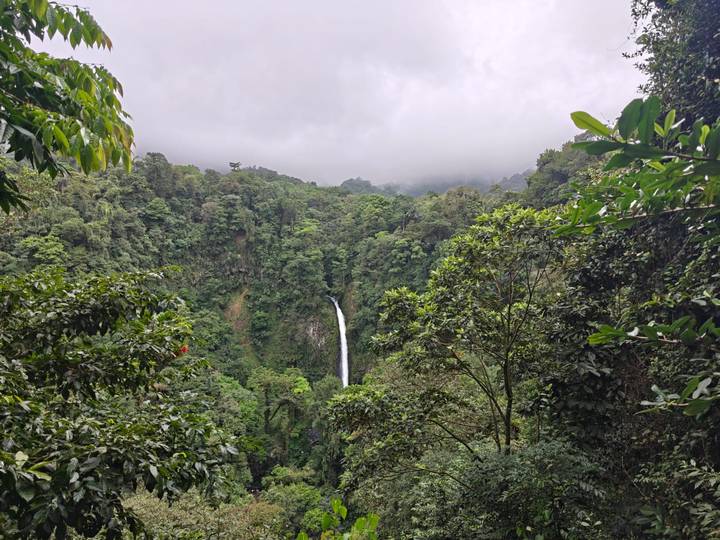 Tall waterfall plunging into lush green rainforest valley under misty clouds