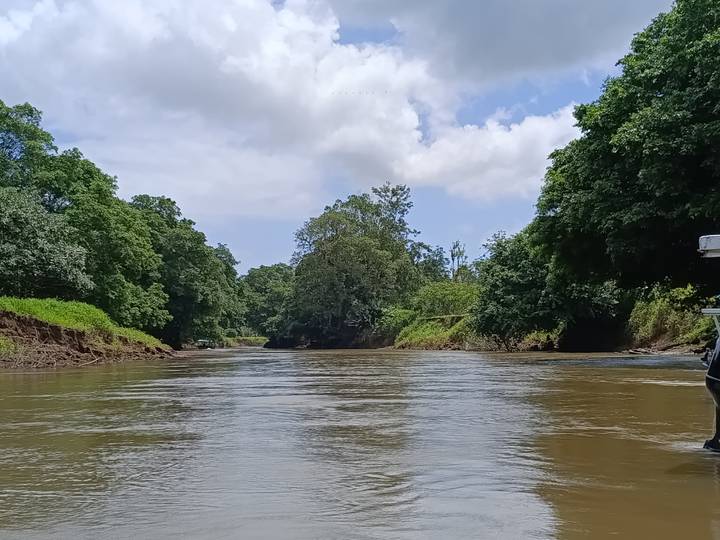 Wide river flanked by dense jungle trees below a partly cloudy sky
