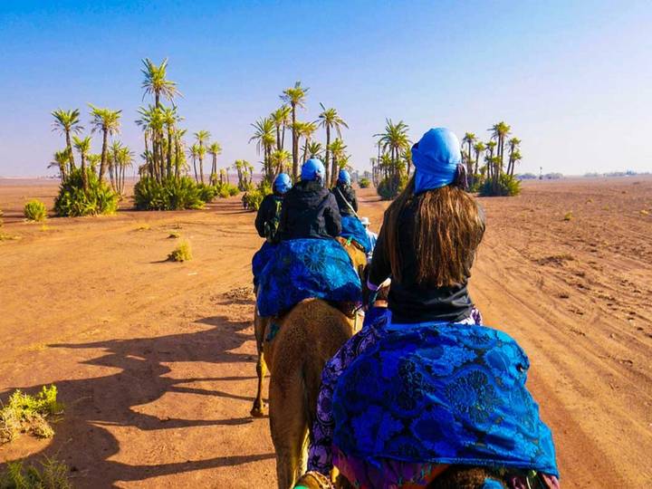 Travelers wearing blue turbans ride camels through a desert dotted with palm trees