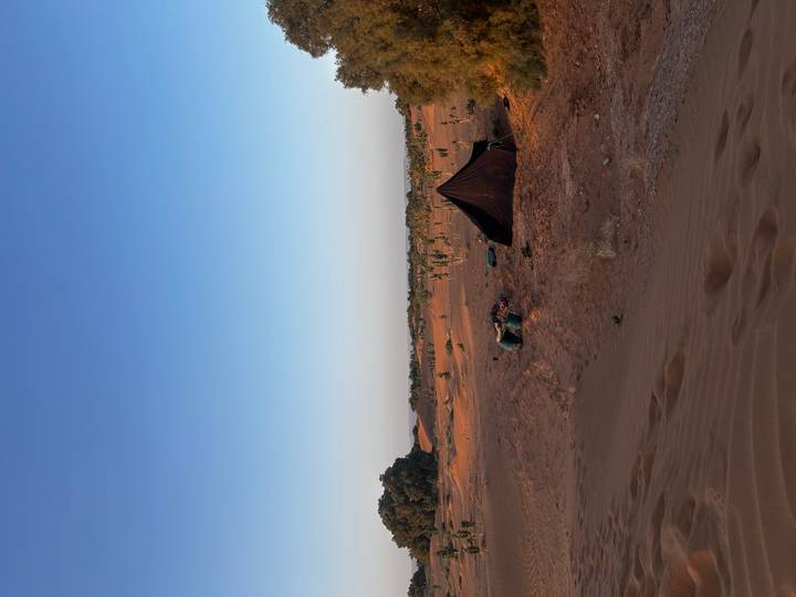 Simple Berber tent and supplies rest on an open sandy plain under a clear dawn sky.