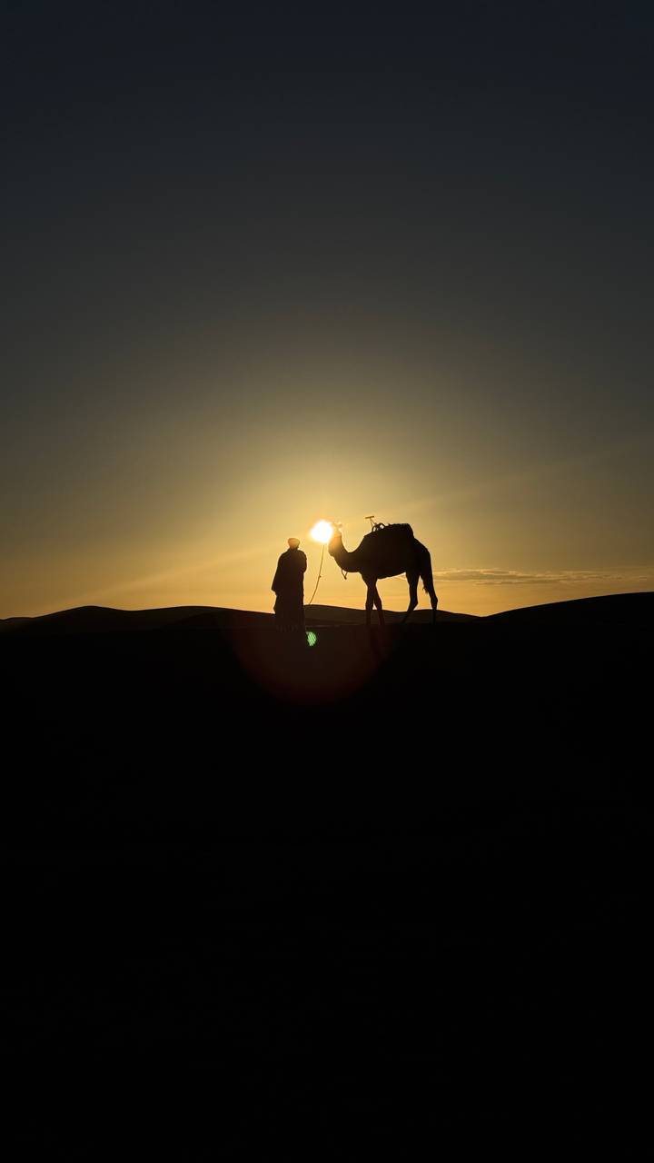 Silhouette of a camel and its handler captured against the setting sun on rolling desert ridges.