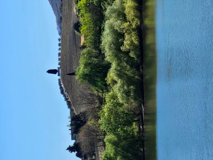 Green riverbank with distant vineyard hill and solitary monument silhouetted on top.
