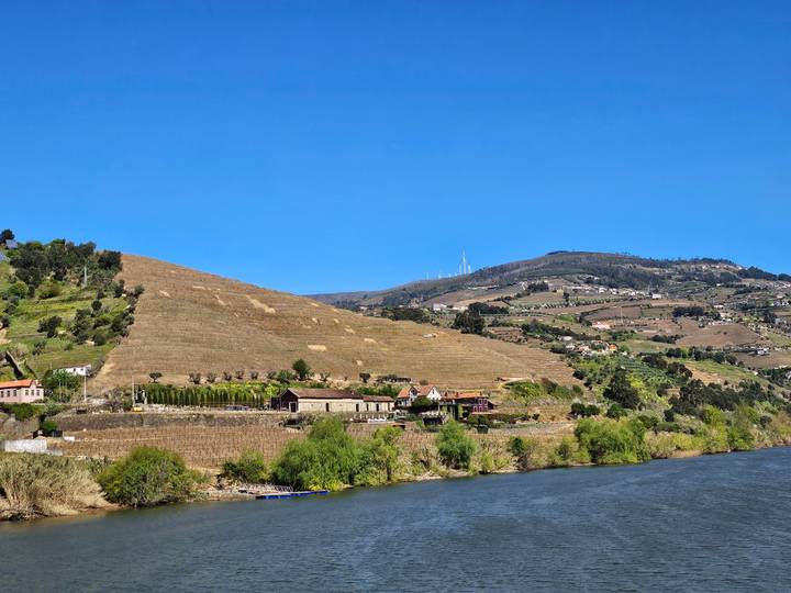 Douro Valley hillside vineyards and farmhouses overlooking the river under clear blue skies.