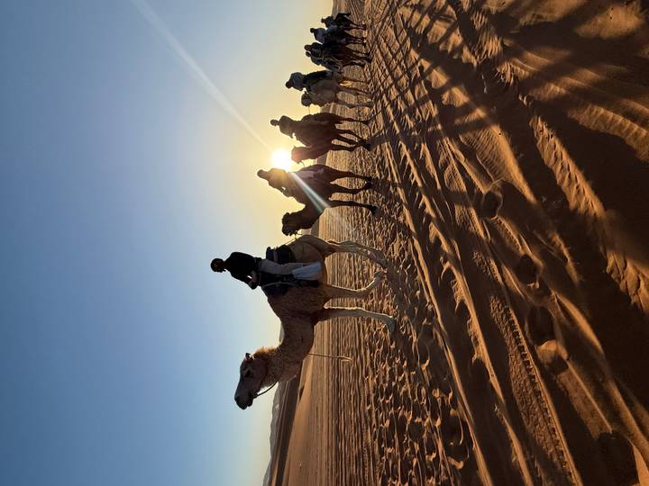 Silhouetted camel caravan moving across golden desert with low sun glinting behind the lead rider.