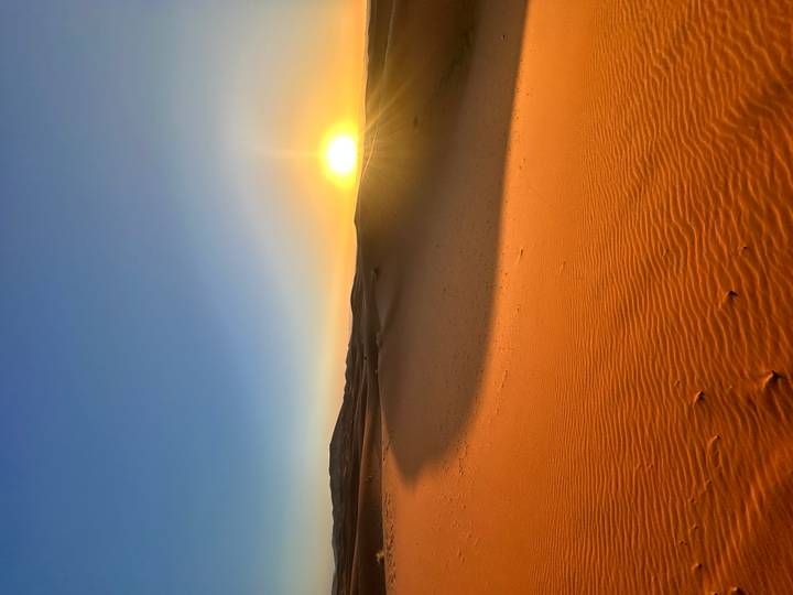 Golden sun setting behind smooth dunes casting long curved shadows on textured sand.
