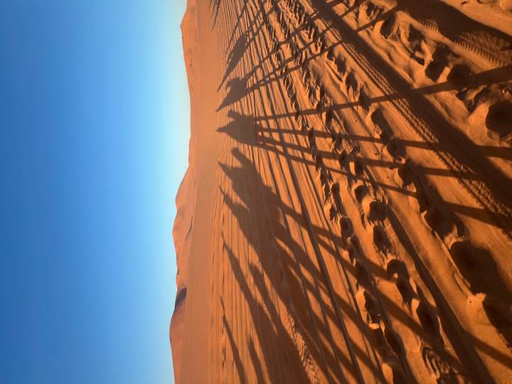 Elongated silhouettes of camel riders stretch across sunlit rippled dunes under clear sky.