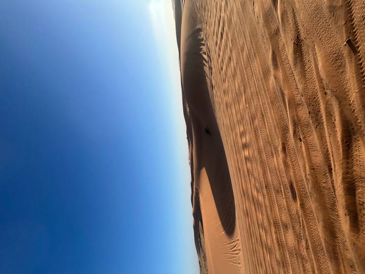 Gently curving dune ridges under clear blue morning sky with vehicle track textures in foreground.