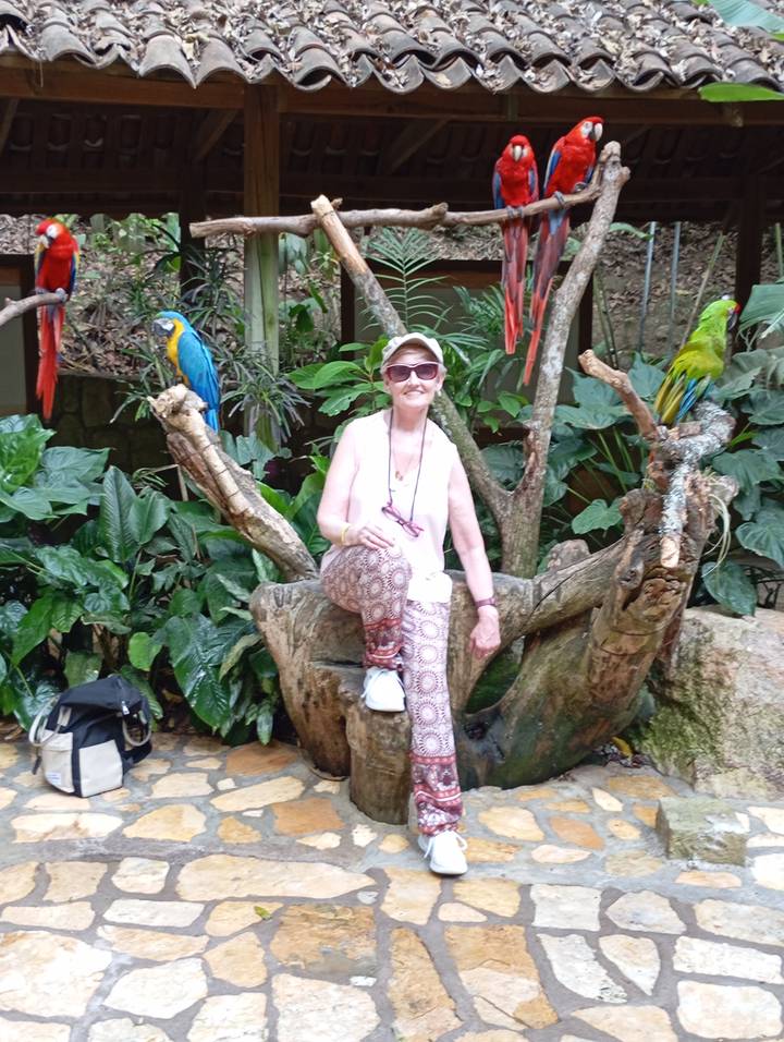 Smiling traveller posing on a tree trunk with colorful parrots amid lush foliage