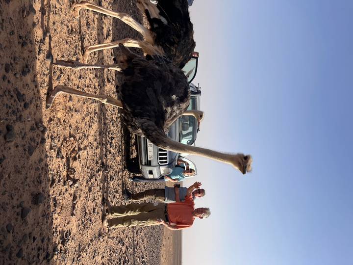 Vertical shot of ostriches and travellers beside a jeep in a stony desert landscape