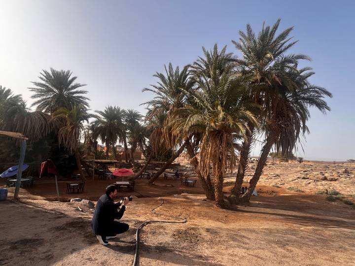 Desert palm grove picnic area with lone photographer crouching in sandy terrain