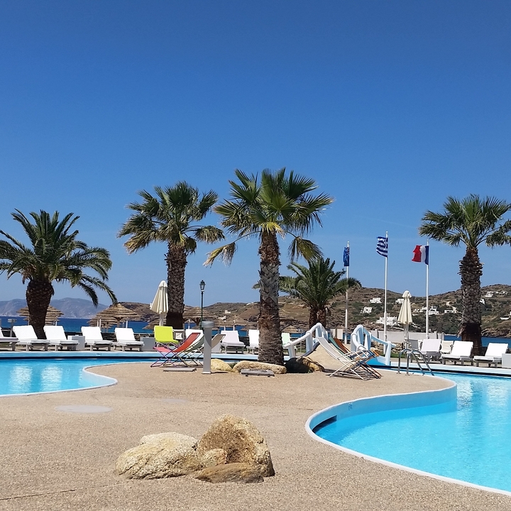 Station balnéaire avec palmiers et chaises longues au bord de la piscine.