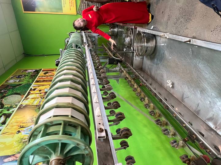 Worker tending rows of green silk reeling machines in a bright workshop.