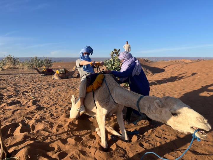 Travellers in blue turbans mount a white camel on reddish Sahara sand under clear sky