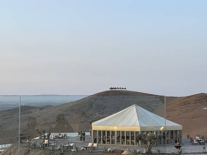 Camel caravan silhouette topping a desert ridge at dusk seen from a rooftop tented camp
