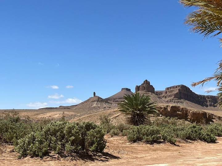 Rocky desert mesa with solitary palm and rugged peaks beneath blue sky.