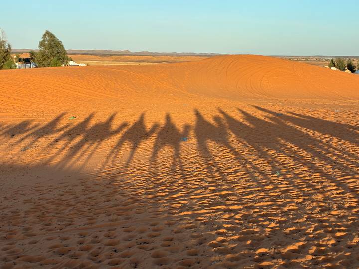 Long shadows of riders on camels stretch across golden desert dunes in the low afternoon sun.