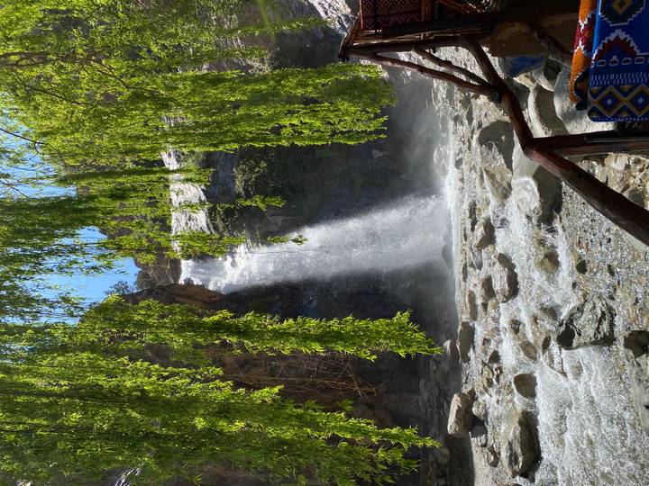 Refreshing waterfall cascades into a rocky stream framed by hanging green willow branches.