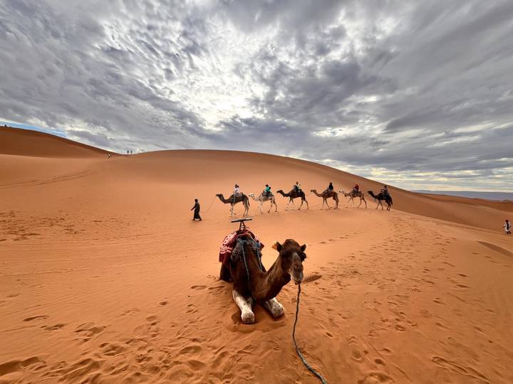 Resting camel in foreground with a caravan cresting the dune under textured clouds.