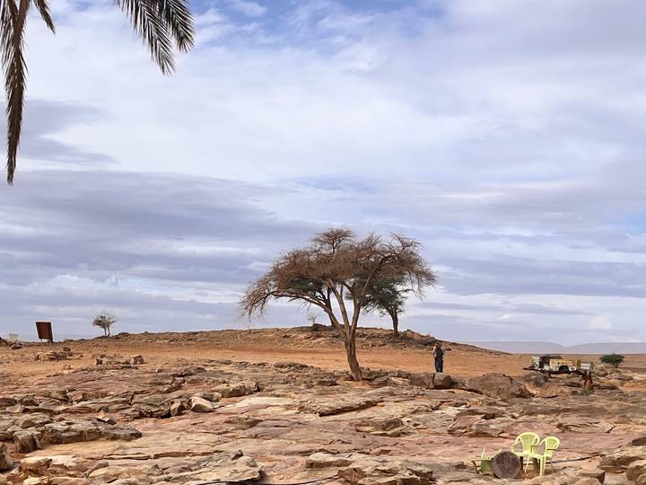 Lone acacia tree on a rocky desert plateau with a single person standing nearby under a cloudy sky.
