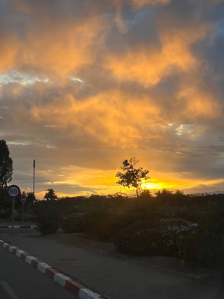 Fiery orange sunset sky with a lone tree silhouette and roadside signs in the foreground.