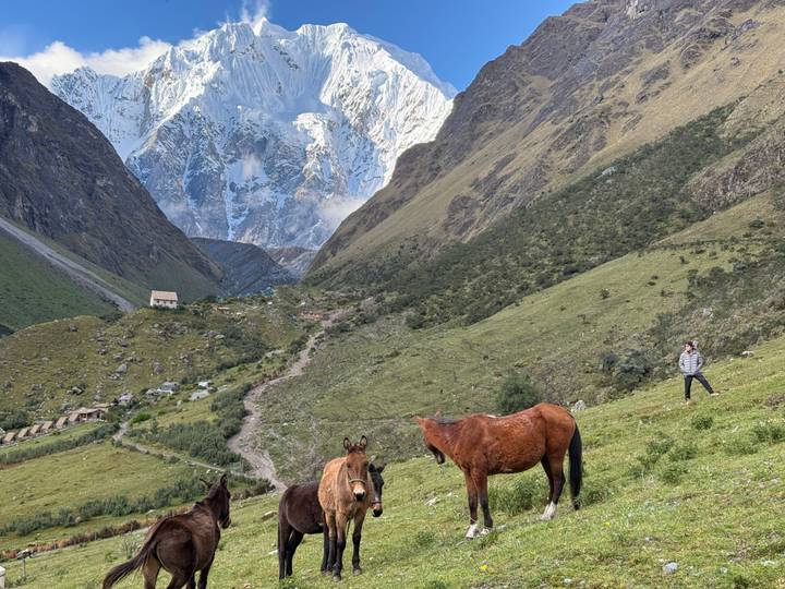 Snow-capped Salkantay Mountain looms above a lush valley where horses graze and a lone hiker admires the view.