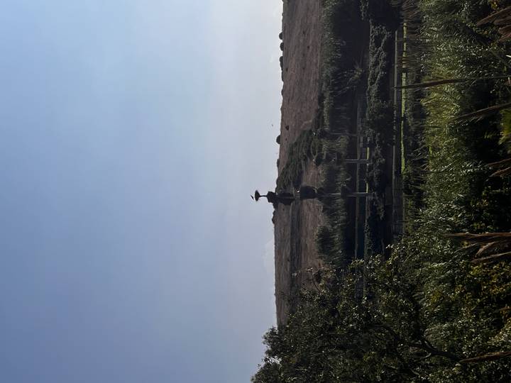 Distant silhouette of a stork standing on a sculptural pole in a rural field under hazy blue sky.