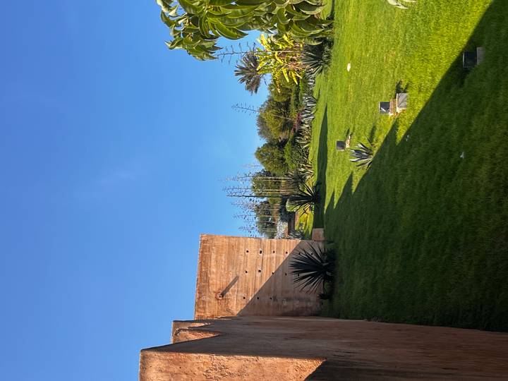 Modern garden with manicured lawn, agave plants and clear blue sky beside an adobe wall.