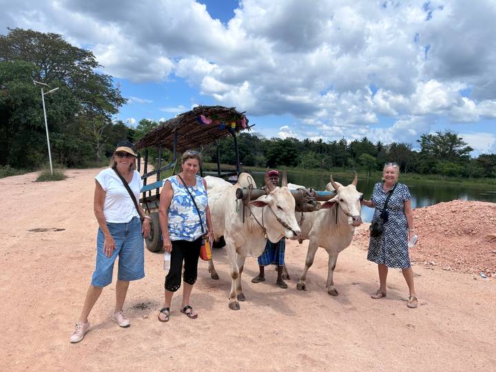Four travellers stand beside a traditional ox-drawn cart on a rural dirt road under a bright sky.