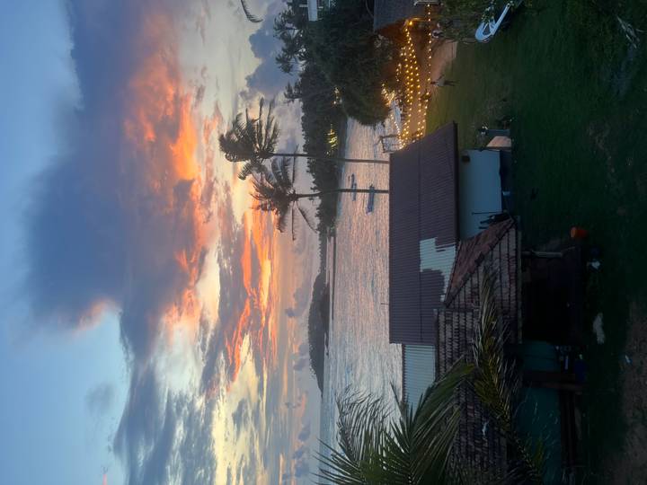 Vibrant sunset over a tropical shoreline with swaying palms and festoon lights beside the water.
