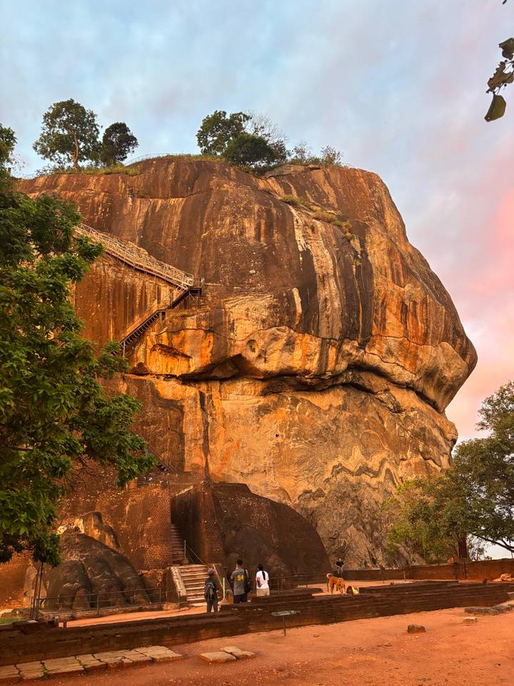 Golden evening light bathes the sheer rock face and stairway of iconic Sigiriya Rock.