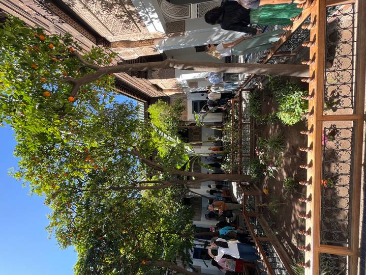 Lush courtyard garden with orange trees and visitors encircled by wooden balconies and stucco walls.