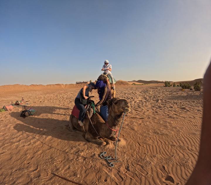 Group prepares to mount camels in sandy desert terrain during late afternoon light.