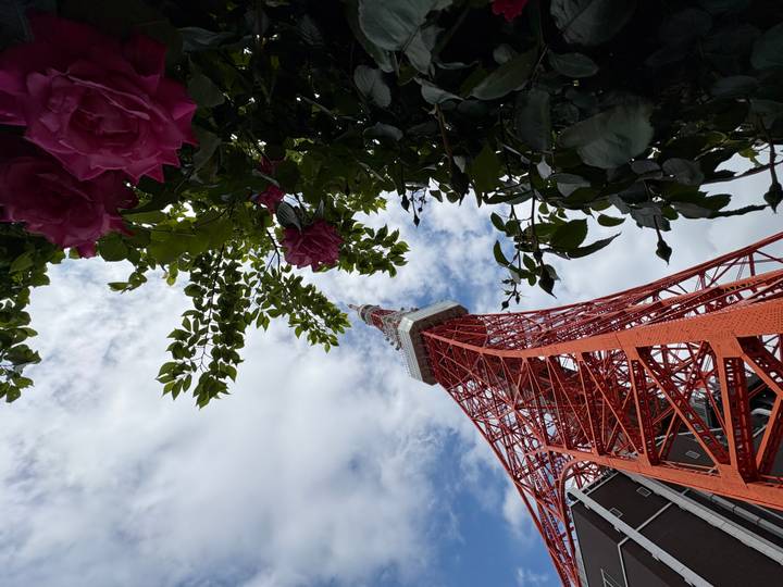 Upward view of the red Tokyo Tower soaring toward a cloudy sky with pink roses in the foreground.