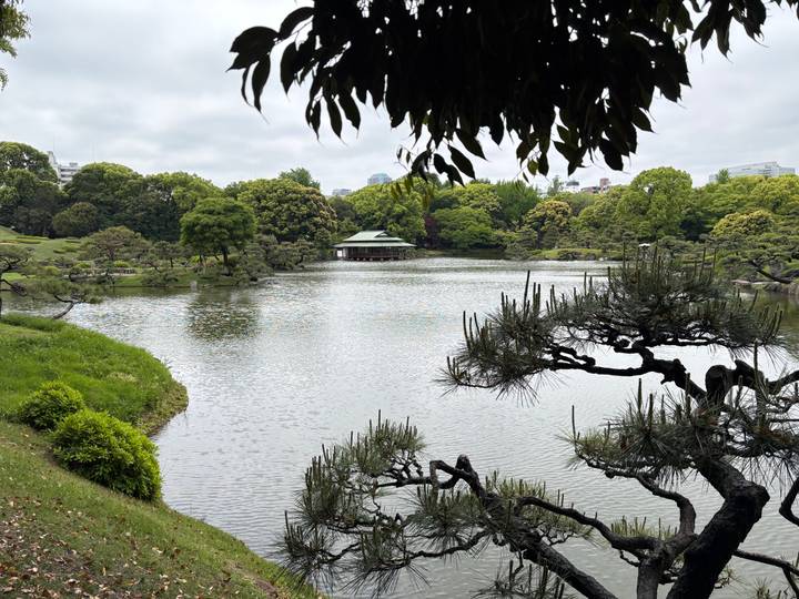 Peaceful Japanese garden lake with pavilion, manicured pines and overcast sky.