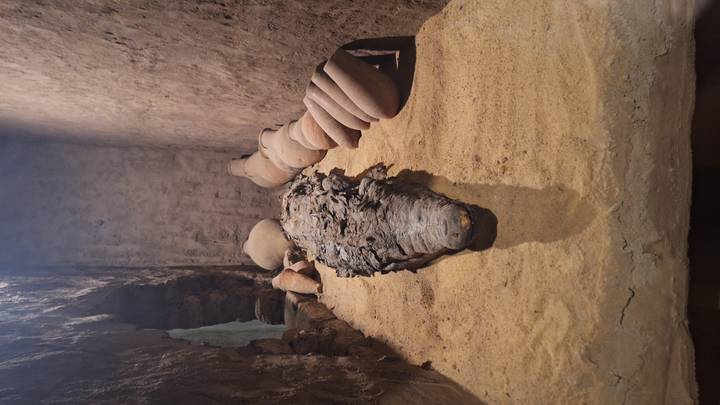 Ancient mummified crocodile laid on sand with pottery jars in a dim display niche.