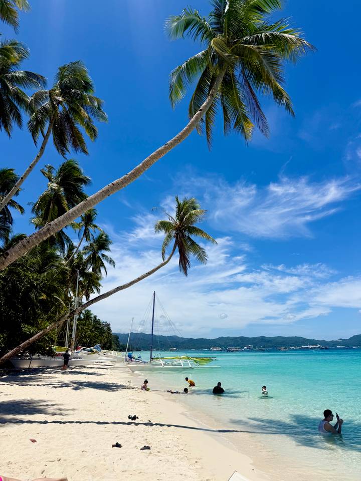 Tall leaning palm trees stretch toward a vivid blue sky dotted with wispy clouds above a quiet bay.