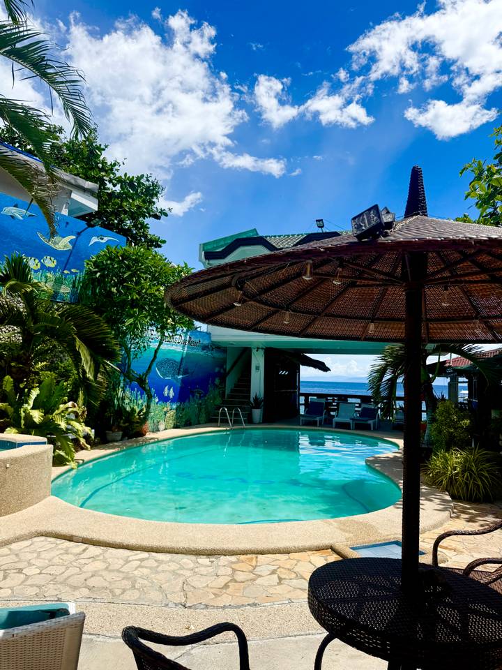 Small seaside hotel pool with shaded loungers and a colorful marine mural, overlooking bright blue ocean water.