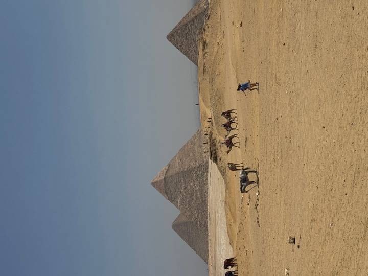 Camel caravan and tourists crossing desert plain with the Pyramids of Giza rising behind.