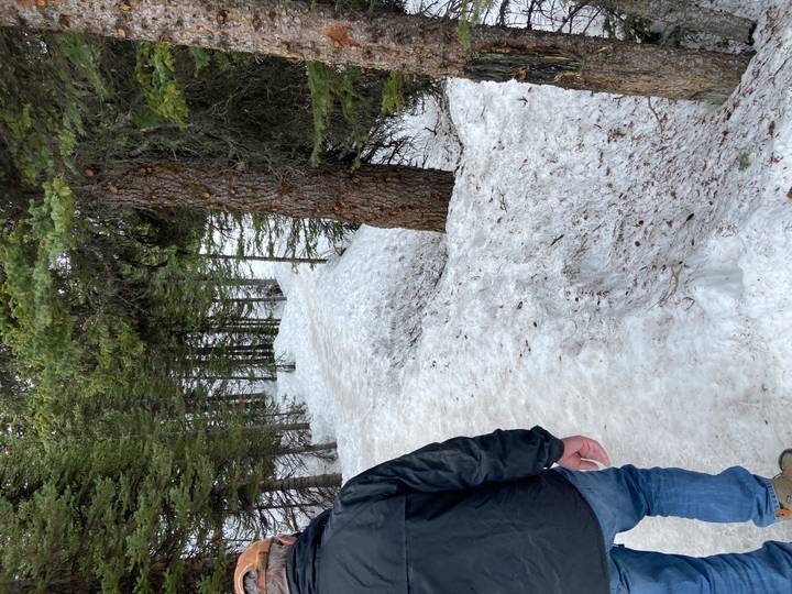 Snowy forest path with a person’s arm and leg partially visible in the frame