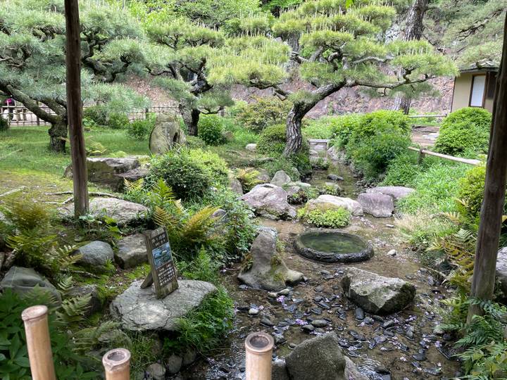 Lush Japanese garden with mossy stones, ferns and a small clear pond surrounded by greenery.