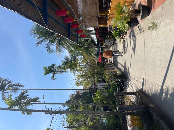 Cyclist rides a narrow village lane lined with palms, lanterns and small shops under bright sun.