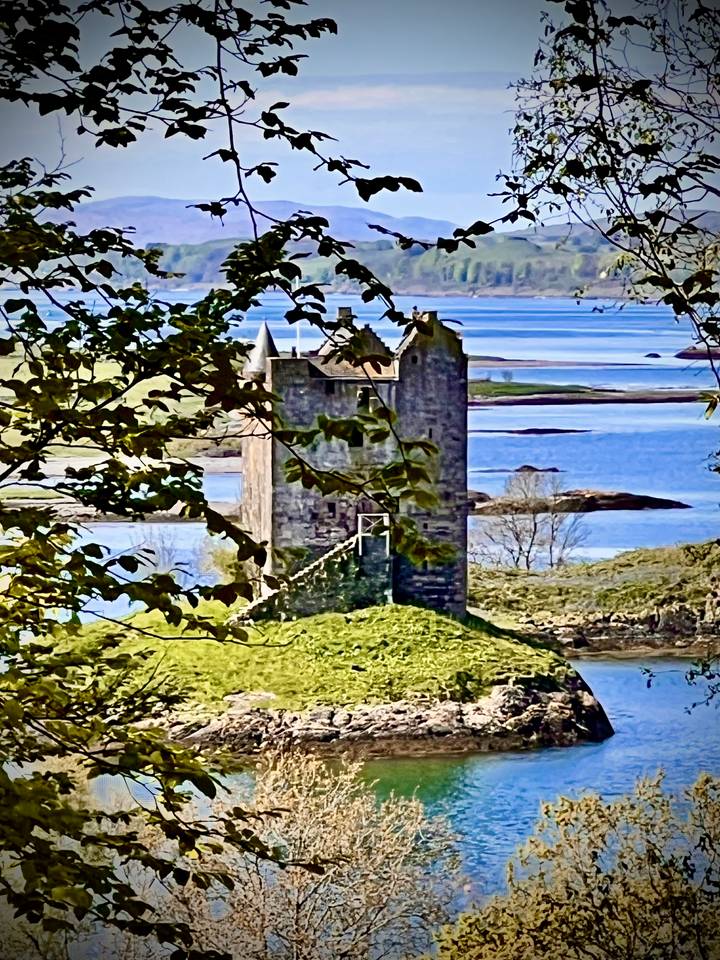 Medieval stone tower castle stands on a grassy mound overlooking blue tidal waters, framed by leafy branches.