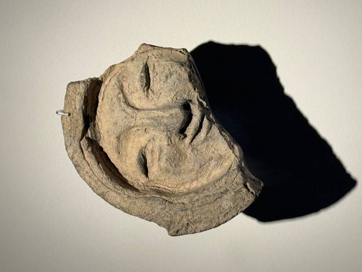 Stone mask artifact mounted on a wall casting a dramatic shadow in gallery lighting