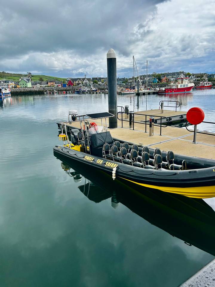 Yellow and black rigid inflatable tour boat moored at a calm harbour awaiting passengers