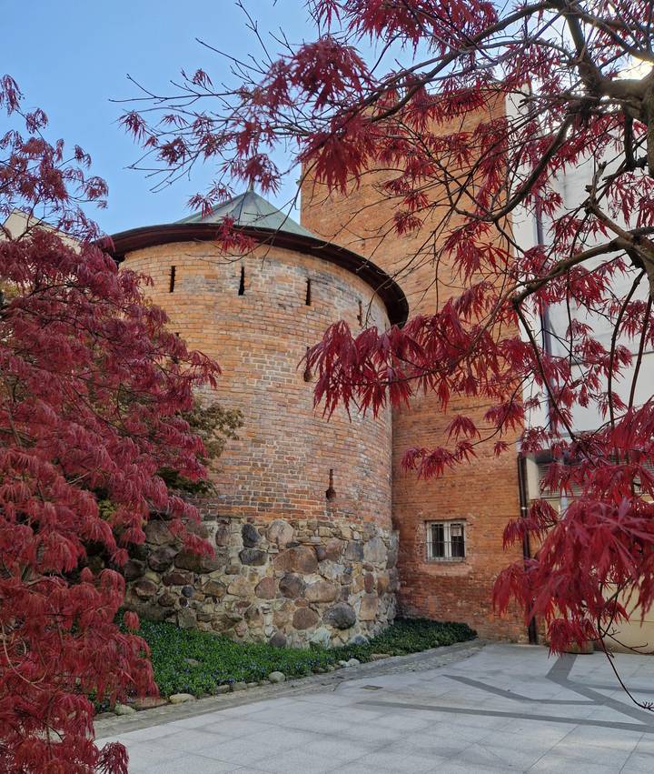 Circular brick tower of an old fort partially hidden by vibrant red autumn leaves.