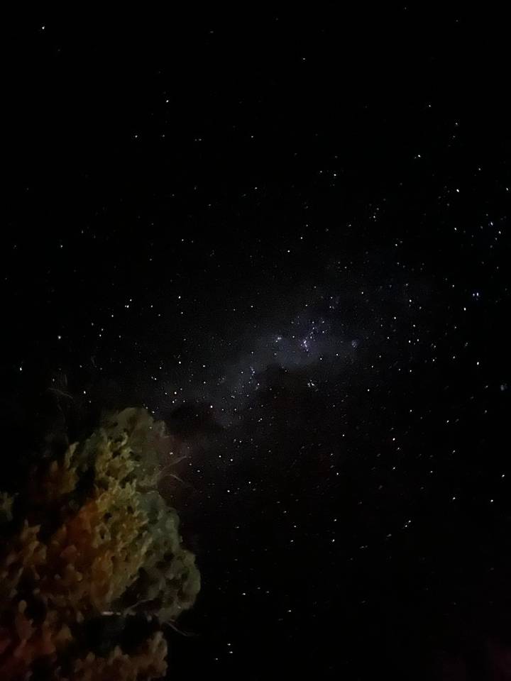 Star-filled night sky with faint Milky Way band and silhouettes of trees below.