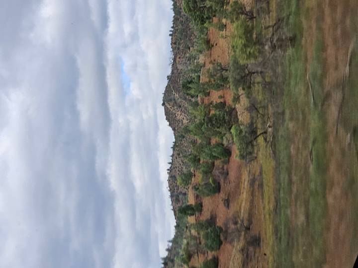 Blurred view of scrubby rolling hills and cloudy skies taken from a moving vehicle.