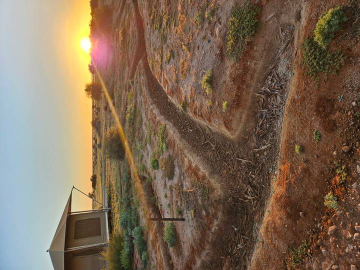 Early-morning sun rises over a semi-arid campsite and a dry creek bed, casting long golden rays.